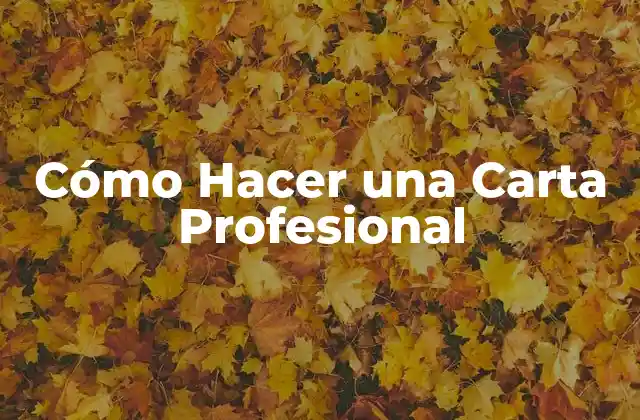 Cómo Hacer una Carta Profesional