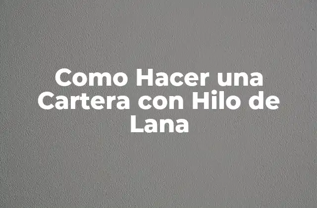 Como Hacer una Cartera con Hilo de Lana