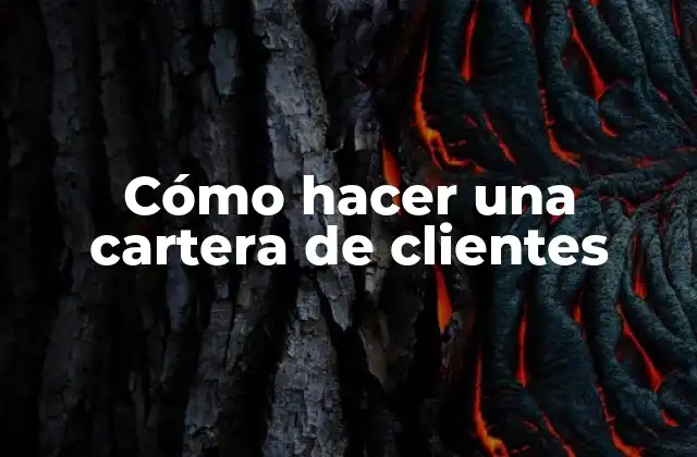 Cómo Hacer una Cartera de Clientes 2 ¿Qué es una cartera de clientes y para qué sirve?