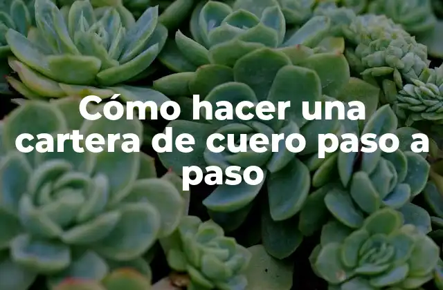 Cómo Hacer una Cartera de Cuero Paso a Paso