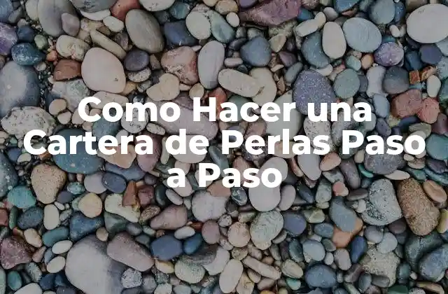 Como Hacer una Cartera de Perlas Paso a Paso