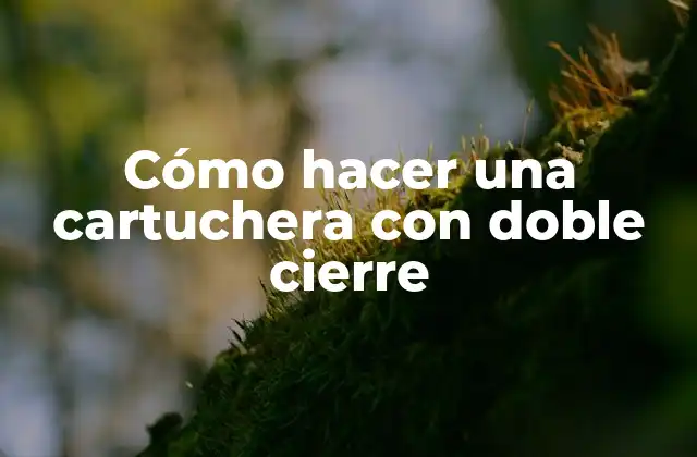 Cómo Hacer una Cartuchera con Doble Cierre 2 ¿Qué es una cartuchera con doble cierre?
