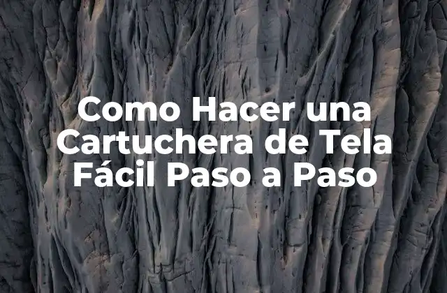Como Hacer una Cartuchera de Tela Fácil Paso a Paso