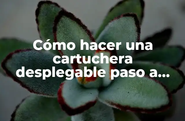 ¿Qué es una cartuchera desplegable?