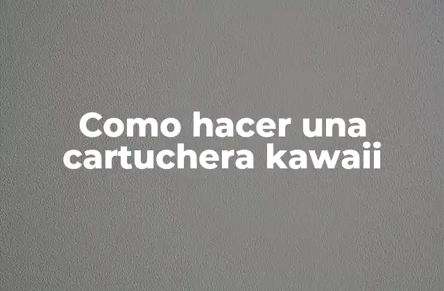 Como Hacer una Cartuchera Kawaii