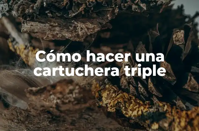 ¿Qué es una cartuchera triple y para qué sirve?