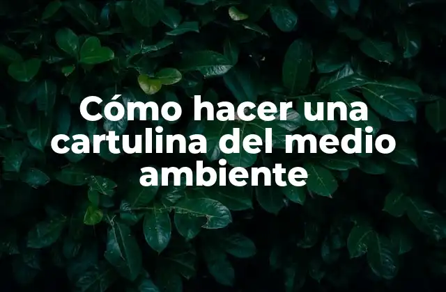 Cómo Hacer una Cartulina Del Medio Ambiente
