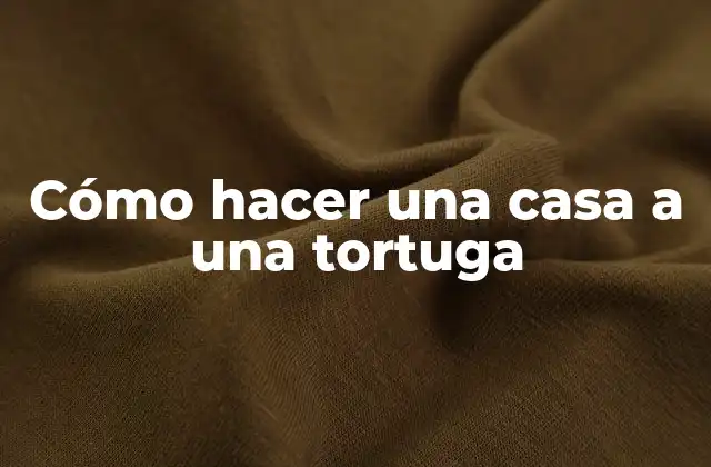 Cómo Hacer una Casa a una Tortuga