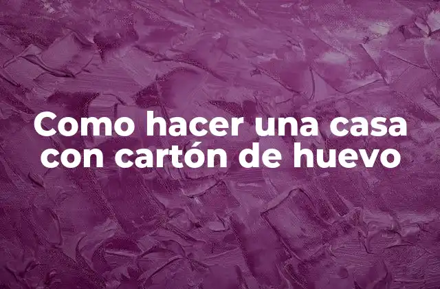 Como Hacer una Casa con Cartón de Huevo