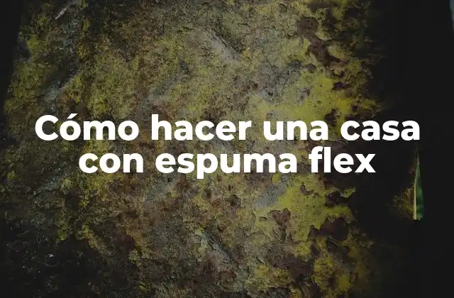 Cómo Hacer una Casa con Espuma Flex