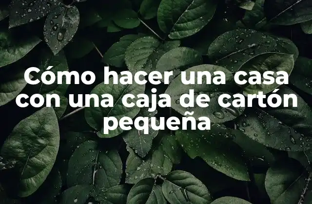 Cómo Hacer una Casa con una Caja de Cartón Pequeña