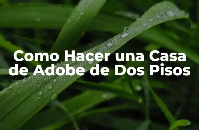 Como Hacer una Casa de Adobe de Dos Pisos