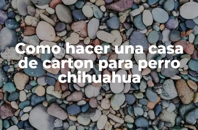 Como Hacer una Casa de Carton para Perro Chihuahua