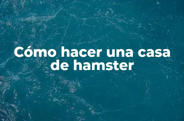 ¿Qué es una casa de hamster y para qué sirve?