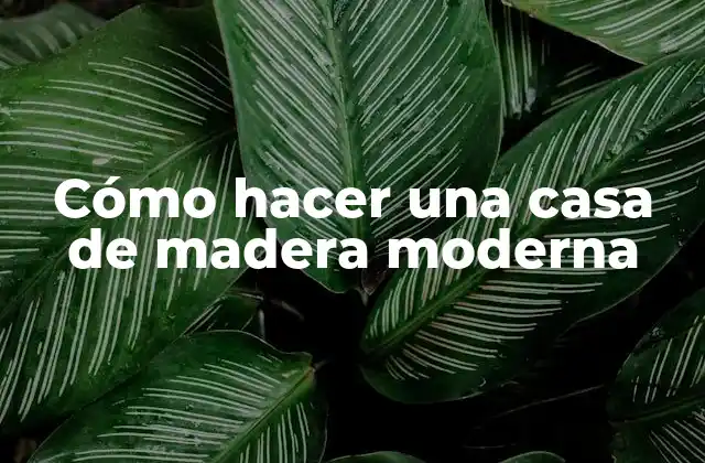 Cómo Hacer una Casa de Madera Moderna