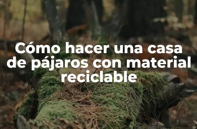 Cómo Hacer una Casa de Pájaros con Material Reciclable 2 Cómo hacer una casa de pájaros con material reciclable