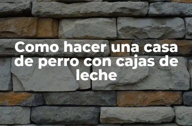 Como Hacer una Casa de Perro con Cajas de Leche