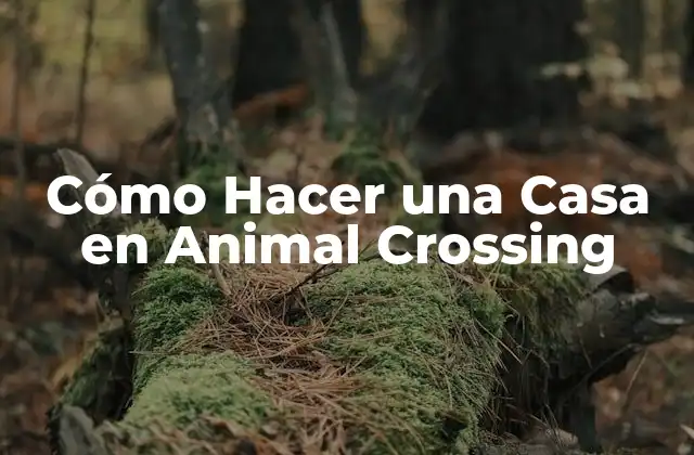Cómo Hacer una Casa en Animal Crossing