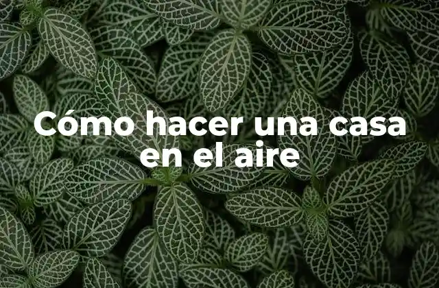Cómo Hacer una Casa en el Aire