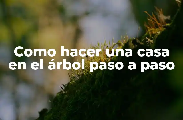 Como Hacer una Casa en el Árbol Paso a Paso