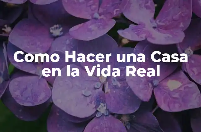 Como Hacer una Casa en la Vida Real