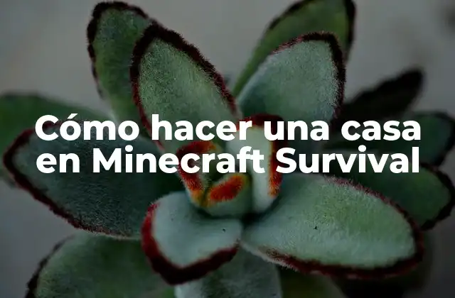 Cómo Hacer una Casa en Minecraft Survival