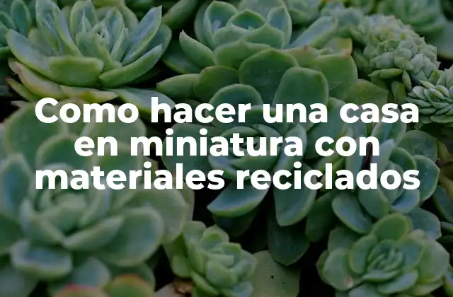 Como Hacer una Casa en Miniatura con Materiales Reciclados