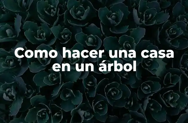 Como Hacer una Casa en un Árbol