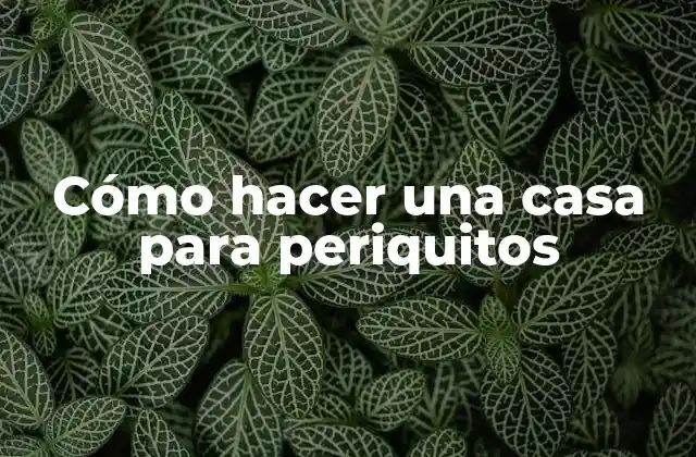 Cómo Hacer una Casa para Periquitos