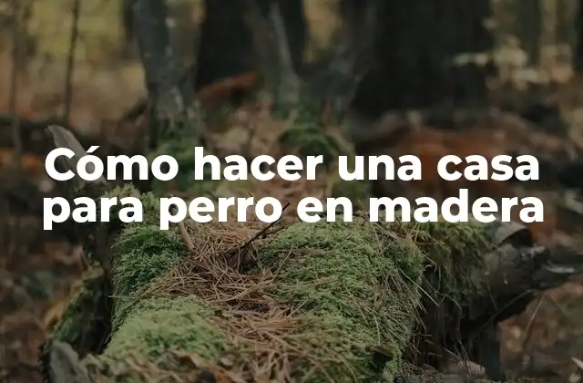 Cómo Hacer una Casa para Perro en Madera