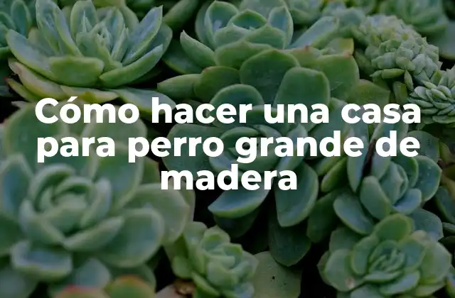 Cómo Hacer una Casa para Perro Grande de Madera