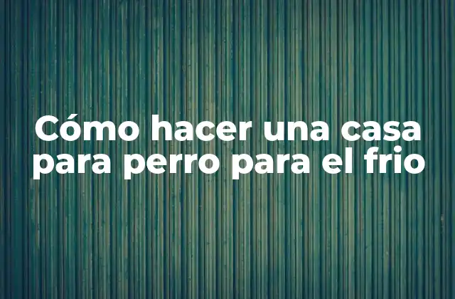 Cómo Hacer una Casa para Perro para el Frio