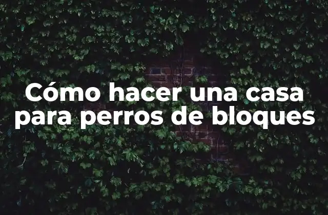 Cómo hacer una casa para perros de bloques