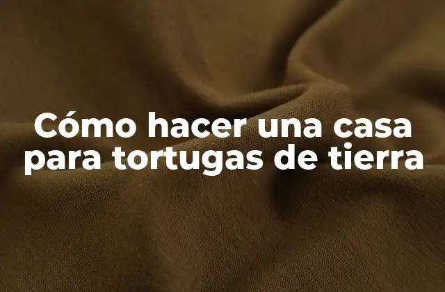 Cómo Hacer una Casa para Tortugas de Tierra