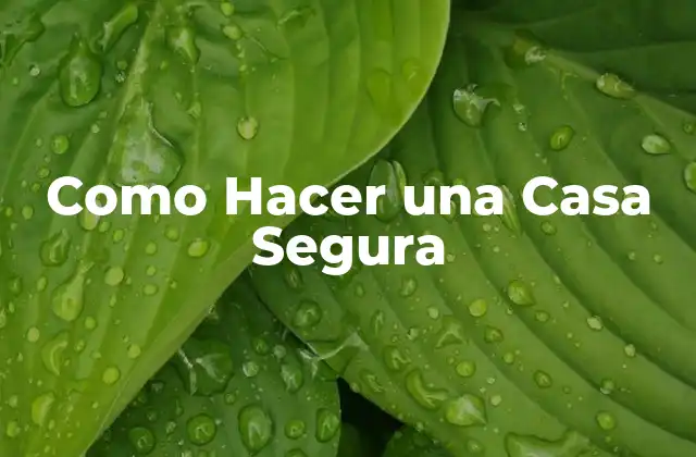 Como Hacer una Casa Segura