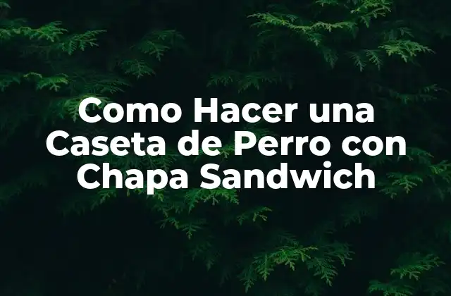 Como Hacer una Caseta de Perro con Chapa Sandwich