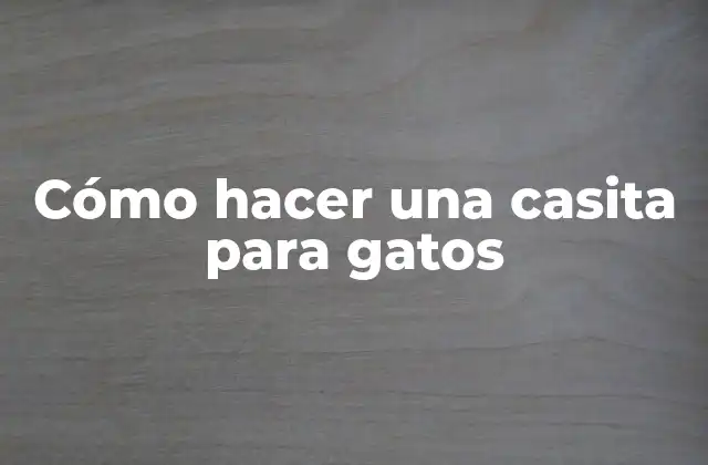 Cómo Hacer una Casita para Gatos