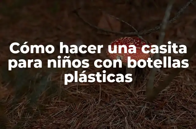 Cómo Hacer una Casita para Niños con Botellas Plásticas