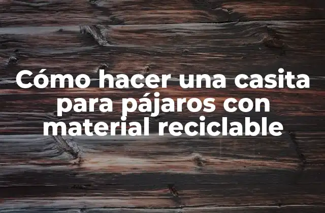 ¿Qué es una casita para pájaros y para qué sirve?