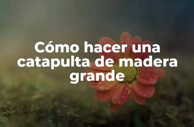 Cómo Hacer una Catapulta de Madera Grande
