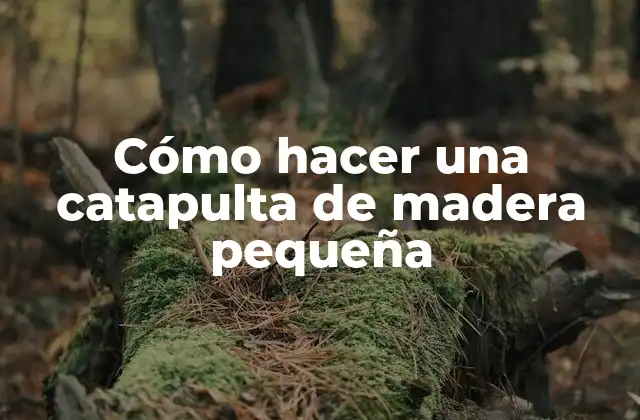 Cómo Hacer una Catapulta de Madera Pequeña