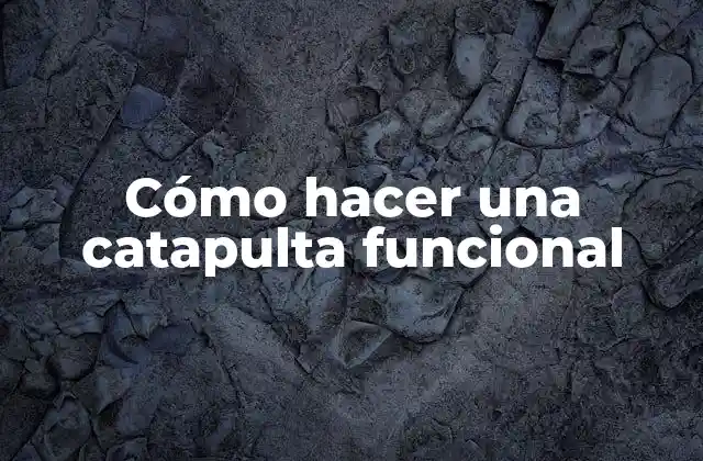 Cómo Hacer una Catapulta Funcional