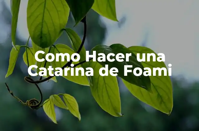 Como Hacer una Catarina de Foami 2 ¿Qué es una Catarina de Foami y Para Qué Sirve?
