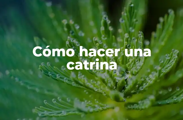 Cómo Hacer una Catrina