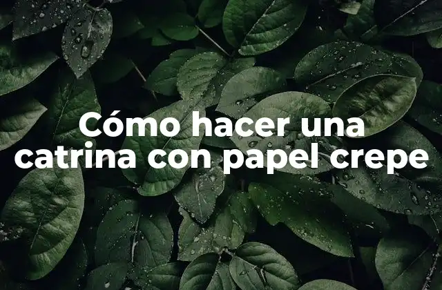 Cómo Hacer una Catrina con Papel Crepe