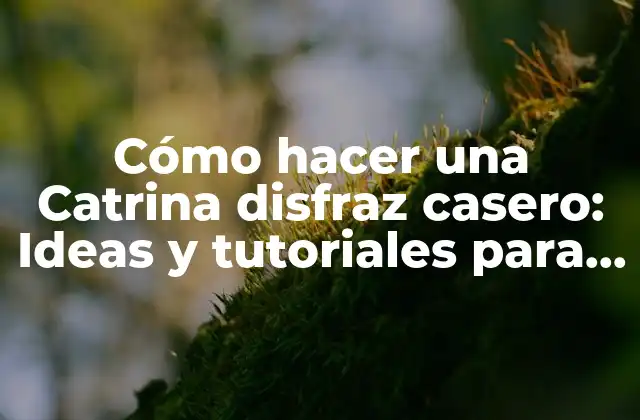 Cómo Hacer una Catrina Disfraz Casero: Ideas y Tutoriales para Disfrutar Del Día de Muertos