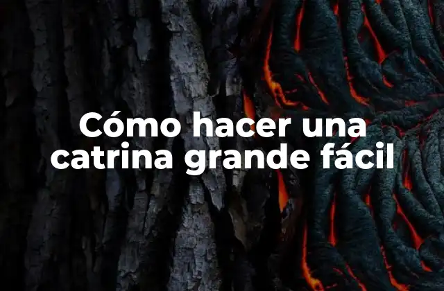 ¿Qué es una catrina y para qué sirve?