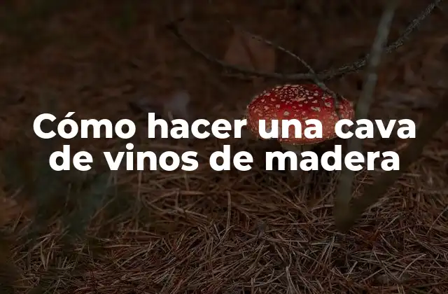 Cómo Hacer una Cava de Vinos de Madera 2 ¿Qué es una cava de vinos de madera?