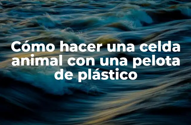 Cómo Hacer una Celda Animal con una Pelota de Plástico