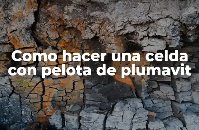 Como Hacer una Celda con Pelota de Plumavit 2 Qué es una celda con pelota de plumavit